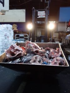 tsukiji3